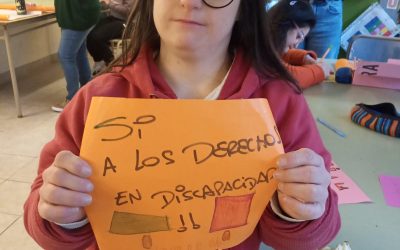Ley de Emergencia en Discapacidad: ¡No al veto!